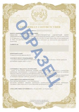 Образец Сертификат СТО 01.064.00220722.2-2020 Муром Сертификат СТО 01.064.00220722.2-2020 